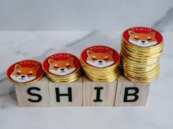시바이누 소각률 2094% 급증...무슨 일 벌어지나,$DOGE,$PEPE,$SHIB