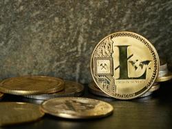 SEC 라이트코인 ETF 승인 앞두고 비트코인·이더리움과 다른 행보... "연기 가능성 높아"