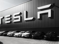  tesla-adds-chipotle-exec-jack-hartung-to-board-amid-musk-pay-battle 