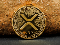 두바이, XRP 블록체인 기반 부동산 투자 플랫폼 출시...최소 투자금 545달러