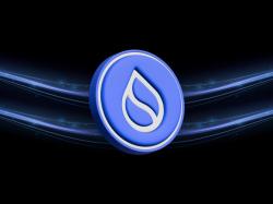  coin-of-the-day-sui-wobbles-after-exploitcan-it-rebound 