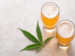 틸레이 "THC 음료, 맥주 대체재 아닌 새로운 시장 개척할 것"