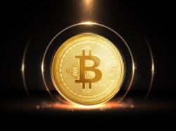비트와이즈 매트 하우건 CIO `상장사 비트코인 보유는 이제 시작된 메가트렌드`