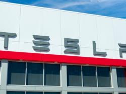 캐시 우드 "테슬라는 지구상 최대 AI 프로젝트" 주식 추가 매수,TSLA,테슬라