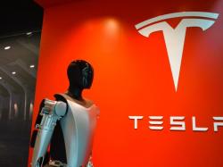 테슬라 주가 급락...머스크-트럼프 설전에 유럽 판매 부진 겹쳐,TSLA,테슬라