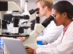  evoke-pharma-evok-shares-skyrocket-on-new-patent-whats-going-on 