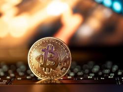 비트코인 12만달러 눈앞...이더리움·XRP·도지코인도 상승세