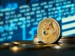 비트오리진, 도지코인 매입 전략 발표에 주가 급등,$DOGE,BTBT,BTOG,Golden Bull Limited,China Xiangtai Food Co Ltd