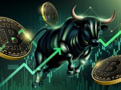 비트코인·이더리움·XRP 견조세... 전문가 `횡보장에 과도한 공포` 지적