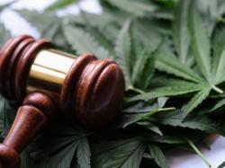  cannabis-etfs-light-up-as-trump-eyes-marijuana-reclassification 