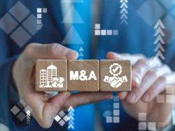  advent-to-acquire-sapiens-in-25-billion-push-for-ai-powered-insurance-solutions 