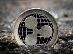 XRP 시가총액 2000억달러 육박...투자자들은 왜 외면하나