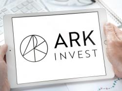 캐시 우드 아크, 템퍼스AI 매도하고 아마존·피그마·불리시 매수