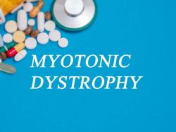  pepgen-reports-highest-splicing-correction-in-dystrophy-patients-stock-doubles 