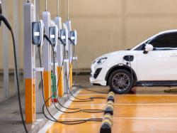  while-tesla-is-warning-trump-these-two-rivals-are-quietly-hitting-fresh-highs-on-wall-street-as-epa-seeks-to-repeal-2009-endangerment-finding 