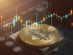 메타플래닛, 비트코인 11만6000달러 돌파에 2만5555BTC 확보
