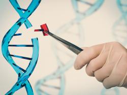 astrazeneca-taps-gene-editing-and-ai-platform-for-drug-discovery-for-immunology-diseases 