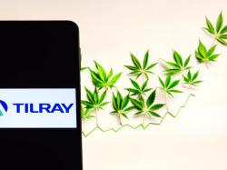  whats-going-on-with-tilray-brands-stock-today 