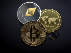  rexshares-rex-osprey-etfs-help-bridge-the-opportunity-gap-for-prospective-crypto-investors 