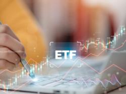 미국-인도 무역협상 진전에 인도 ETF 투자자 관심 집중