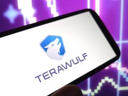  terawulf-stock-is-surging-tuesday-whats-going-on 