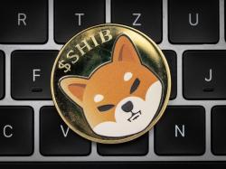  nearly-8-million-shiba-inu-vanish-after-first-shib-etf-filing-shakes-market 