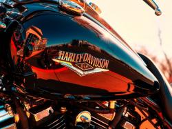  harley-davidson-holds-back-guidance-again-on-tariff-concerns-stock-sinks 