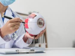  eli-lilly-expands-genetic-eye-disease-focused-pipeline-with-meiragtx-gene-therapy-collaboration 