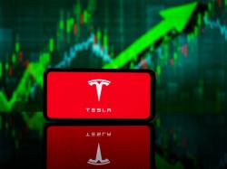  gary-black-slams-tesla-bulls-for-fools-narrative-on-autonomy-and-robots-amid-ev-volume-slump-soaring-valuation 