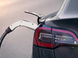  gary-black-explains-why-tesla-stock-continues-to-slide-analyst-zeroes-in-on-weak-china-europe-demand-and-this-factor 