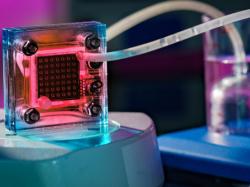  exxonmobil-basf-team-up-to-produce-2000-tons-low-emission-hydrogen-annually 