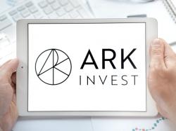  cathie-wood-unloads-16-million-in-amd-stock-as-nvidia-earnings-reignite-ai-buzz-buys-these-crypto-plays-instead 