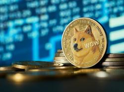  why-dogecoin-doge-is-getting-hammered-today 