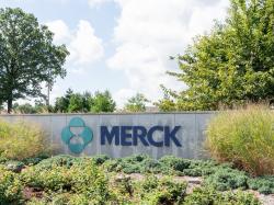  why-are-shares-of-merck-up-today 
