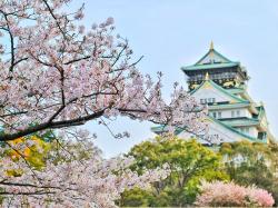  can-japans-economy-continue-to-blossom-if-bank-of-japan-raises-rates-apparently-so 