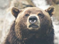  what-it-means-for-us-stocks-to-be-in-a-bear-market 