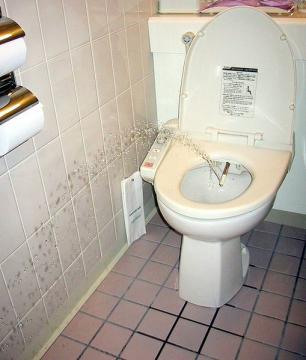 Toilet Pranks Aplenty
