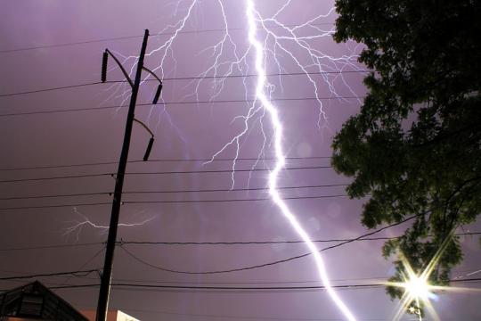 Bolt