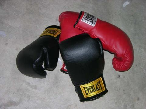 Floyd Mayweather Jr vs. Canelo Alvarez