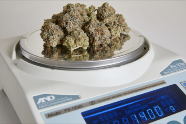 How many grams are in an eighth of weed - and other useful cannabis conversions