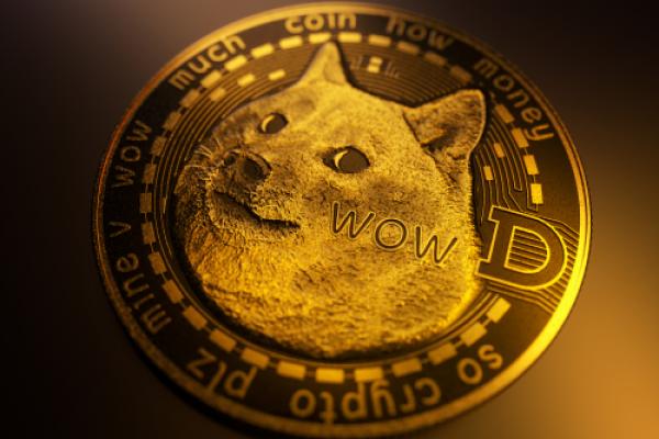 Unusual Dogecoin (DOGE) transactions lead to the discovery of a Ponzi scheme