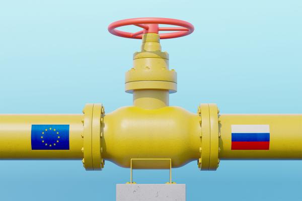 Putin's gas crisis could cause 'civil unrest' in some developed European countries this winter, risk analysis says