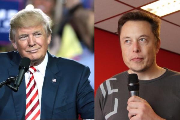 Elon Musk called for 'Trump' to be added as a search term to identify spam accounts and bots: report