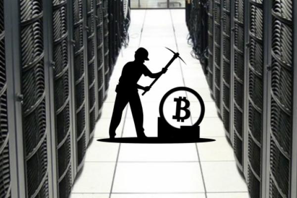 Crypto mining activity peaks as miners face harsh crypto winter and bitcoin price crash