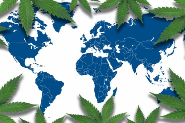Marijuana Goes Global: Key Trends in the United States, Philippines, Italy, Australia, and Spain