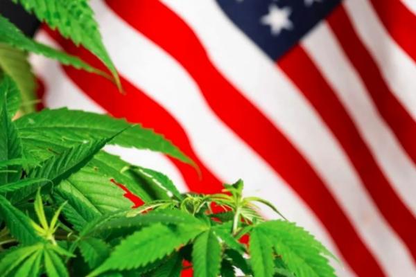 美国人更喜欢合法的大麻而不是烟草，皮尤调查证实了持续的趋势和社会变革