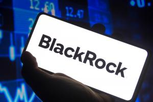 Blackrock Photo by rafapress on Shutterstock