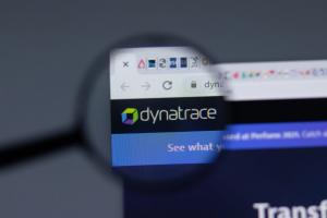Dynatrace logo close up on website page