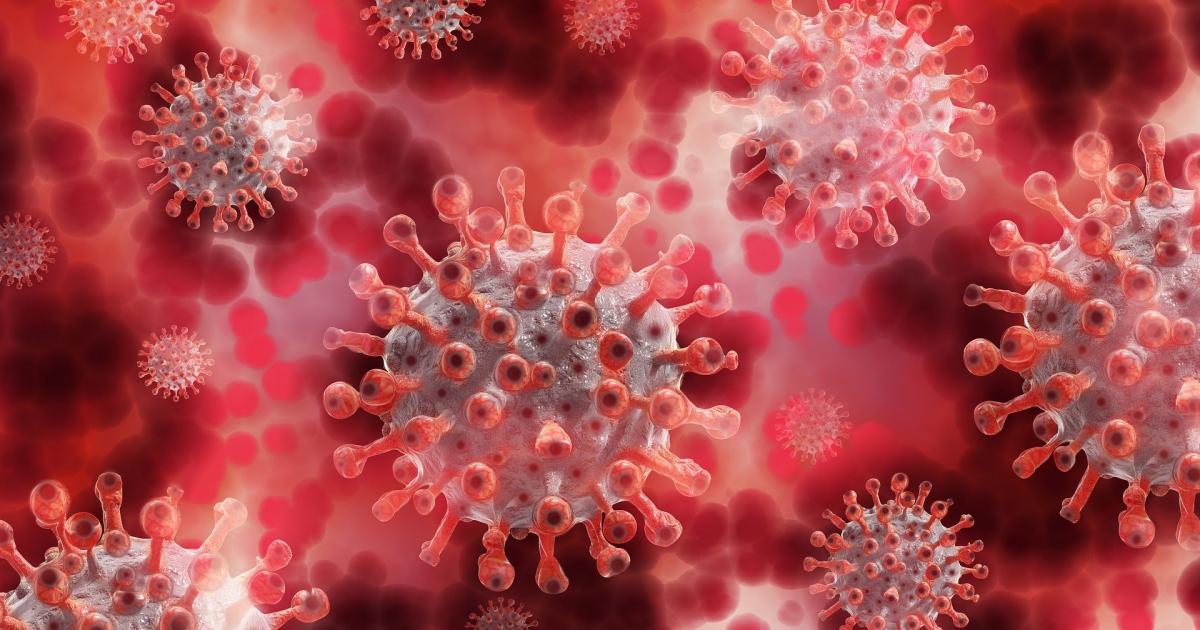 Novavax, Inc. (NASDAQ:NVAX) - Novavax Rallies After FDA ...