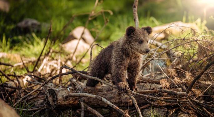Bear With Us? How To Safely Put Money To Work Now Without Knowing If This Will Become A Bear Market